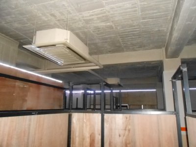 ACE��SWAT�@�t�B�[���h���G�A�R��