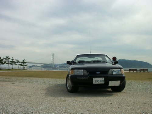 ���уV���f�B�[�@���Q