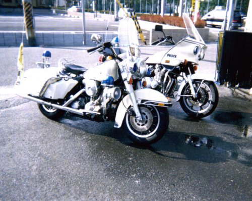 �l�d�l�S�T�@�V�̎׋S�@���R