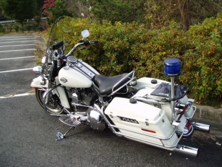 �l�d�l�V�X�@PLAY-FELLOW��SAWACHIN�@���Q