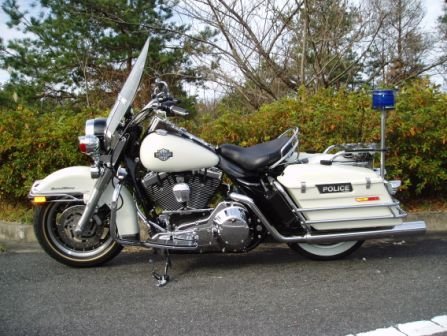 �l�d�l�V�X�@PLAY-FELLOW��SAWACHIN�@���R