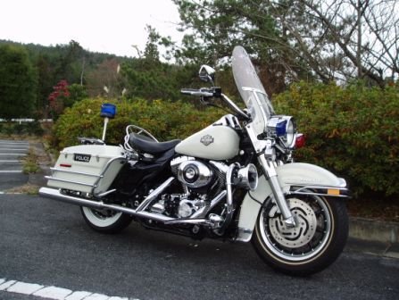 �l�d�l�V�X�@PLAY-FELLOW��SAWACHIN�@���P