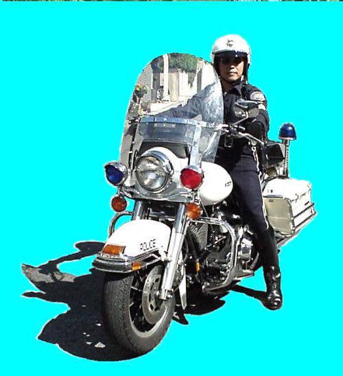 �l�d�l�P�V�@�����������@���Q