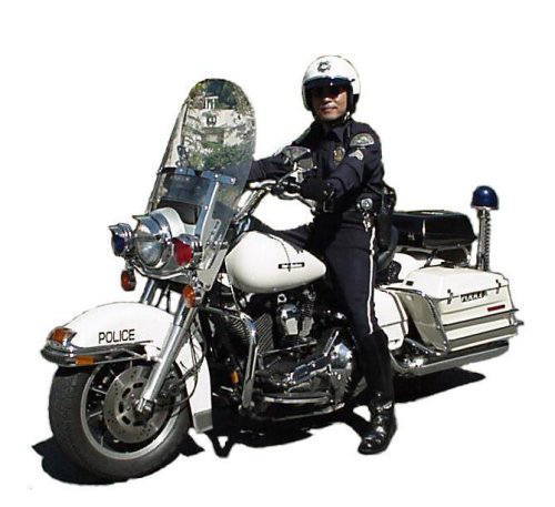 �l�d�l�P�V�@�����������@���S